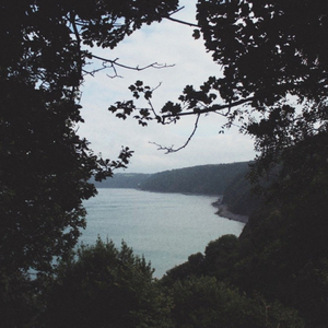 久久一级黄色片
