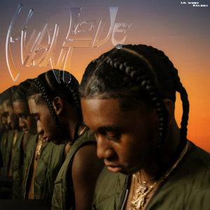 久久一级黄色片
