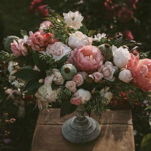 久久一级黄色片
