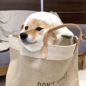 久久一级黄色片
