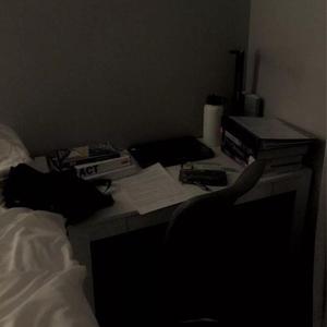 久久一级黄色片
