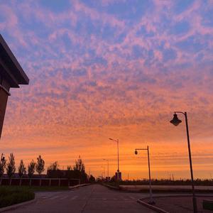 久久一级黄色片
